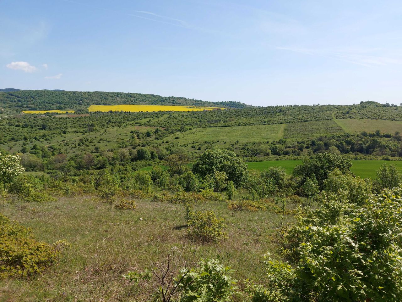 Продава се Парцел в с. Малка Верея, Област Стара Загора - 8537 кв.м за 8 €/кв.м - Снимка #2