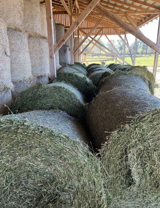 Baloti lucerna baloti fan rotunzi neplouati