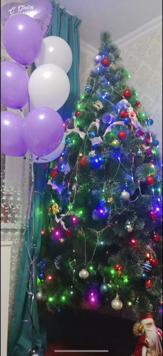 Продам Ёлку. Высота 2.40