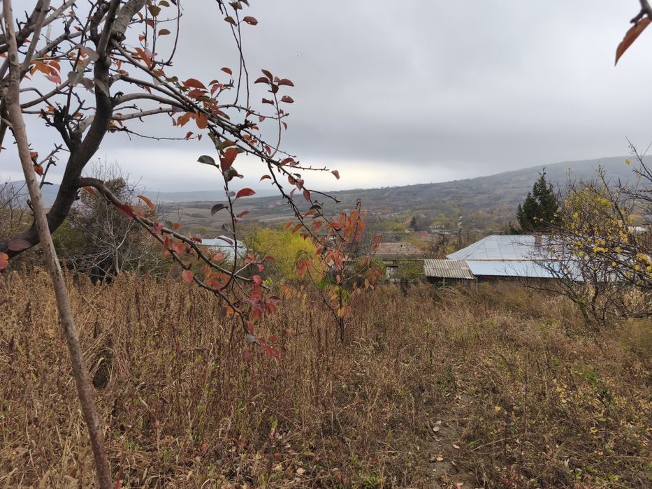 Teren intravilan 2517 mp la 29 km de Iasi,drum asfaltat