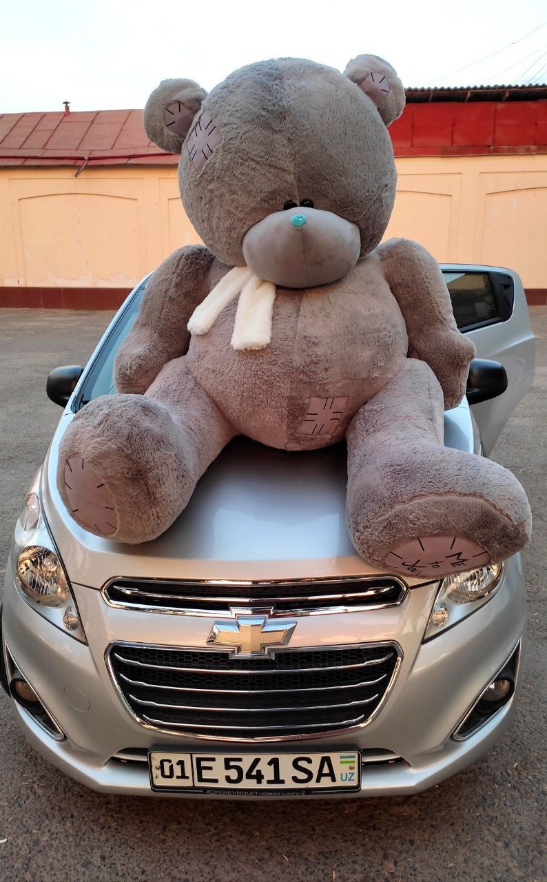 Teddi , Teddiy Teddiyla, Teddy