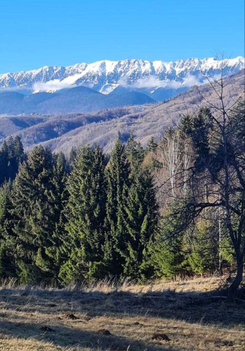 Teren ieftin la munte ! Acum si în RATE FĂRĂ AVANS, zona Bran, Fundata