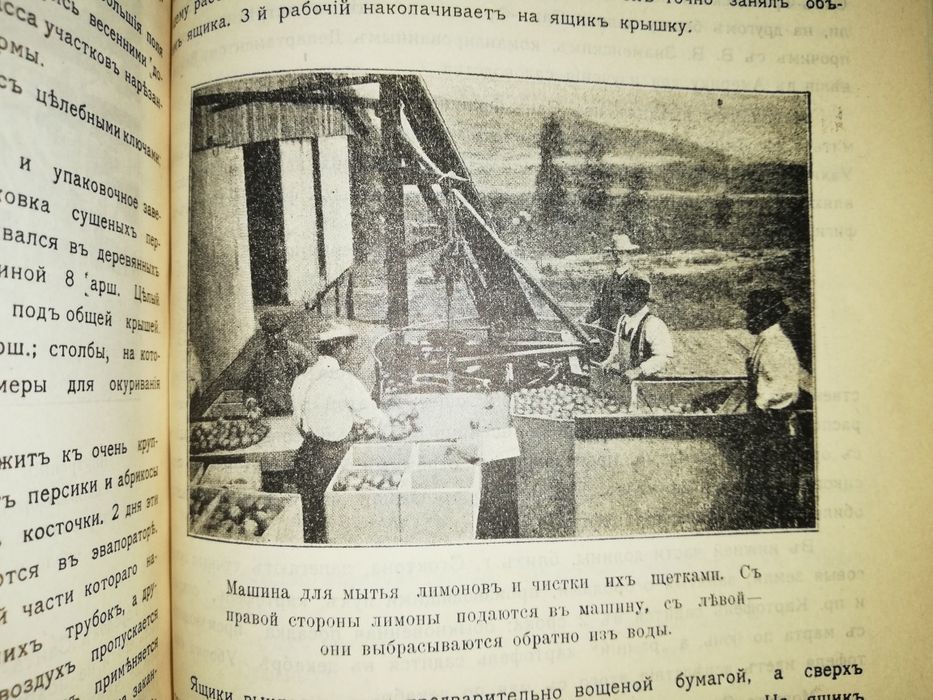 Шредер "Очерки Американского сельского хозяйства" 1913г.