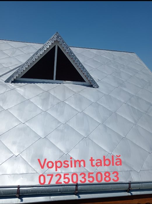 Vopsim tablă pe case garduri etc