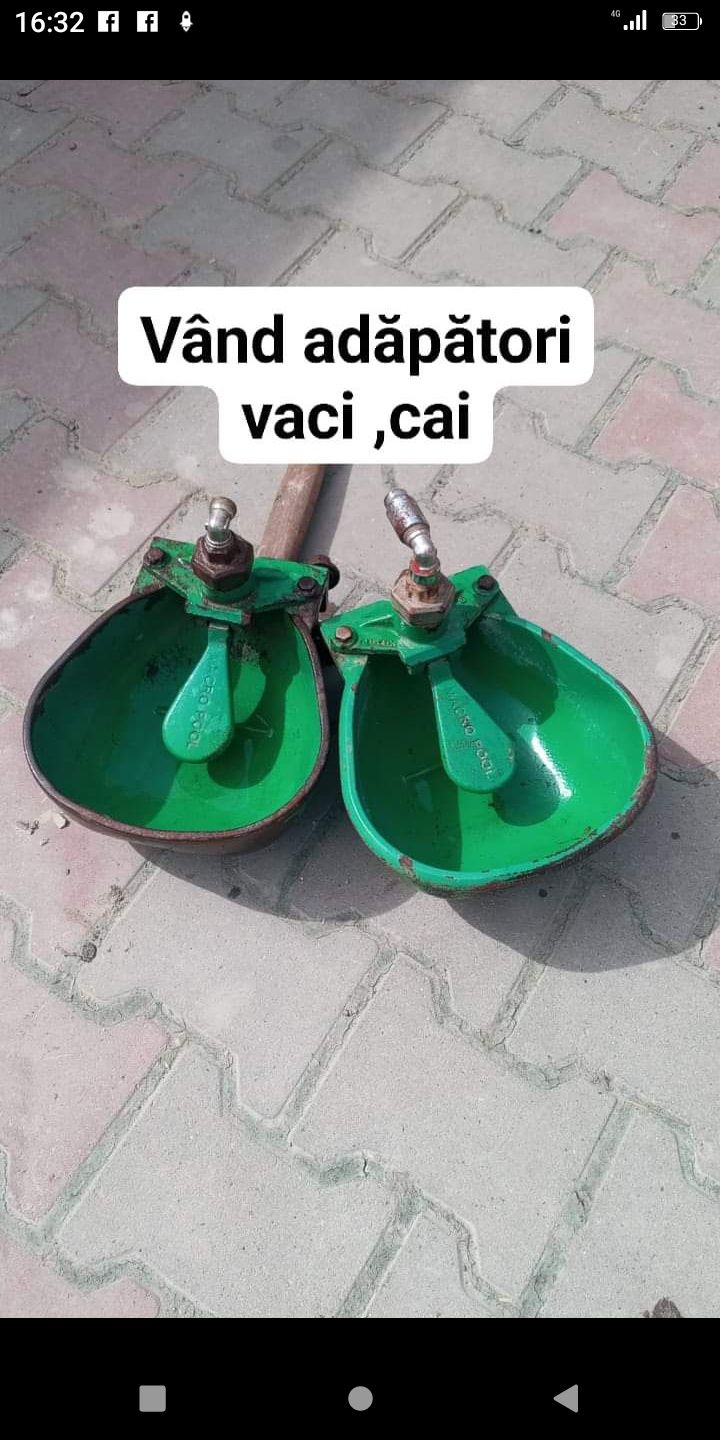 Adăpători vaci cai