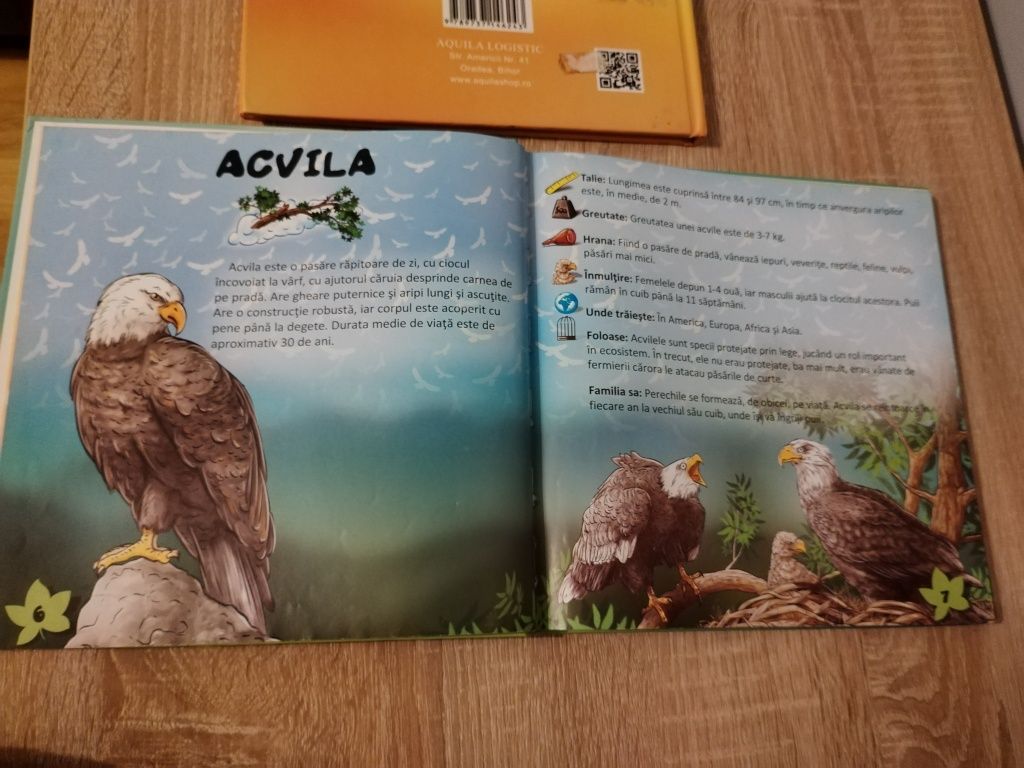 Cărți Animale, Păsări copii