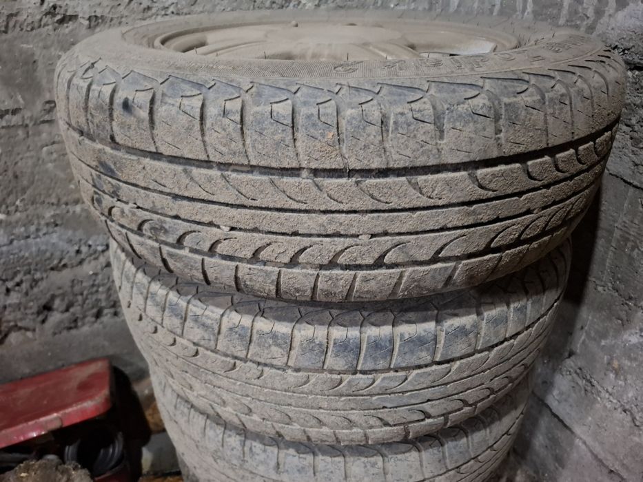 Торусы 14 на лете