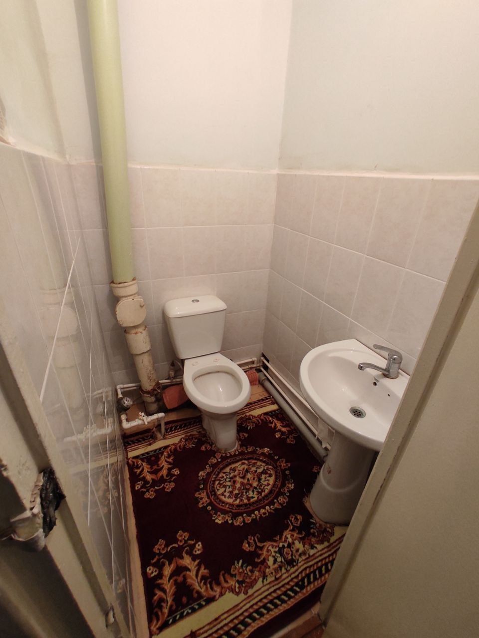 Тансыкбой коракамиш 3 хоналиа