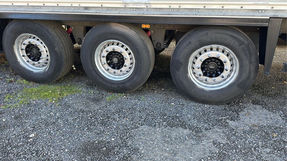 Duba izoterma Schmitz