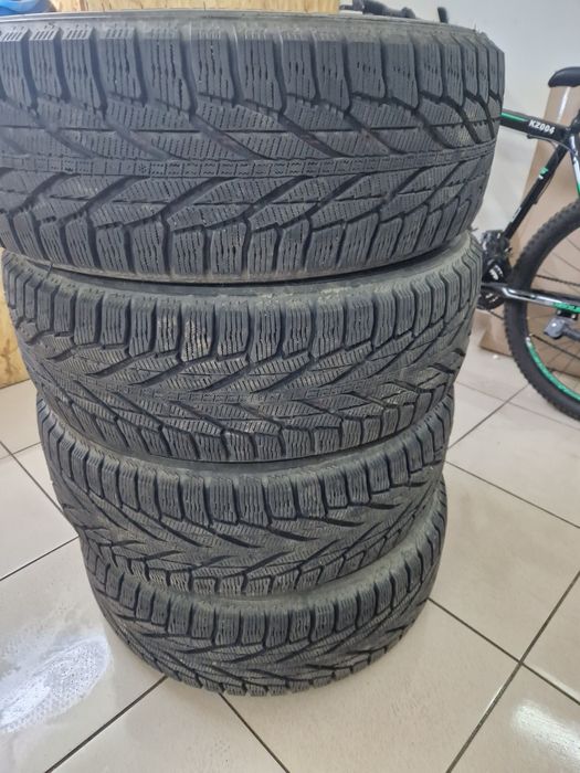 Nokian hakkapeliitte