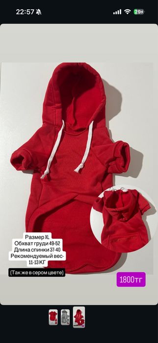 Новая Одежда для кошек и собак, в сером, красном цвете