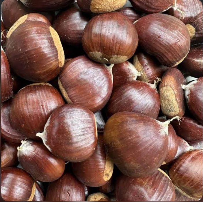 castane proapete culese tauti de sus