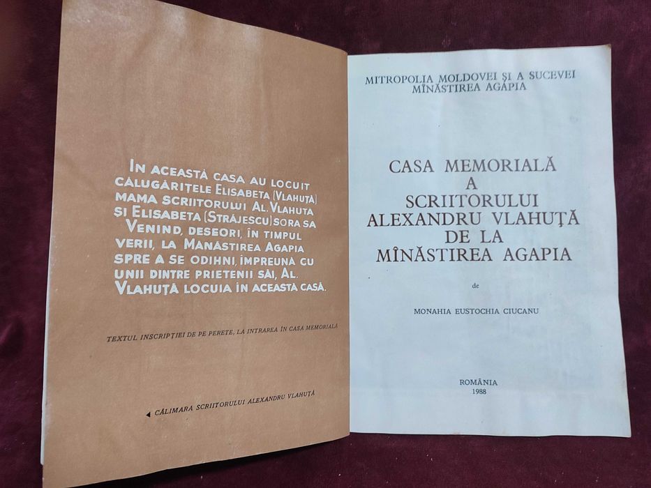 Pliante de alor cateva monumente "comuniste"