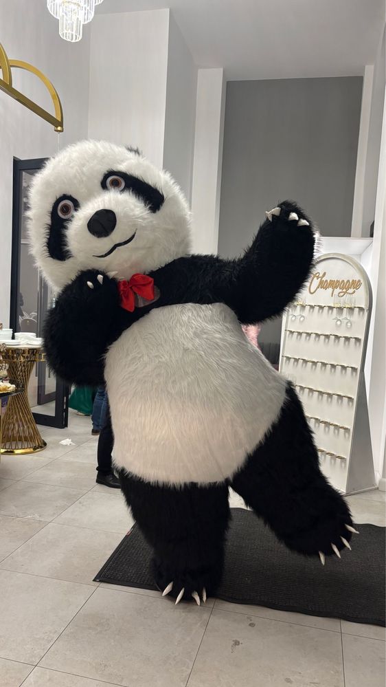 Ursul Polar&Ursul Panda evenimente