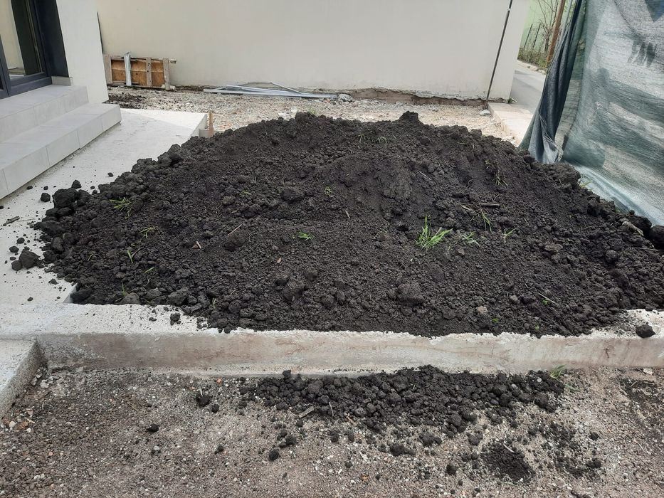 Pământ vegetal. Pământ negru De flori