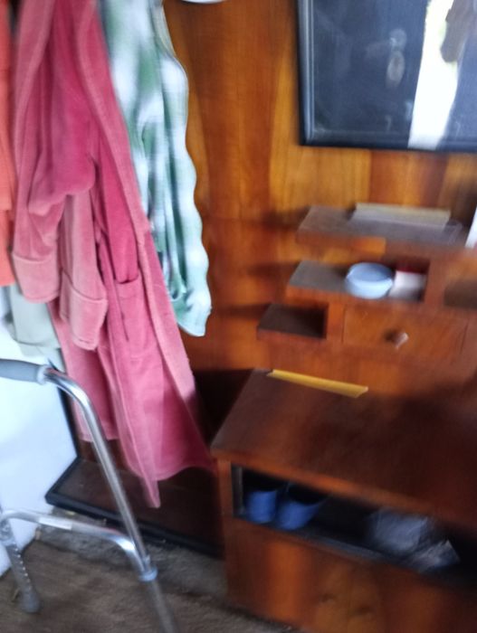 Cuier de hol vintage