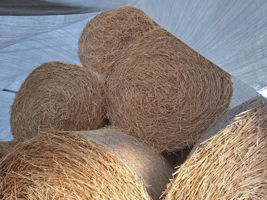 Baloti rotunzi din paie grau 125/120,    45 lei/balot