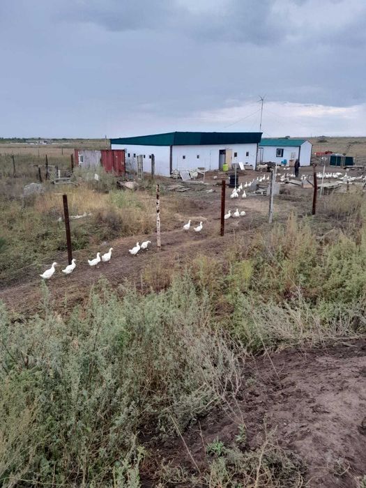 Срочно продам 5 дачных участка с хоз постройкой!