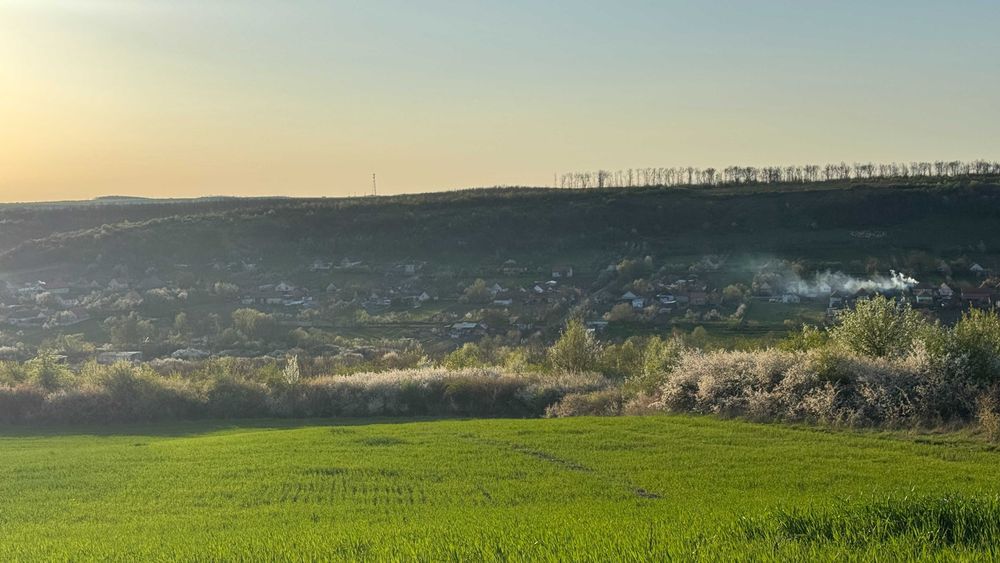 Teren de vânzare în Stanciova, județul Timiș – poziție panoramică