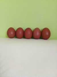 Яйца за люпене от Марани