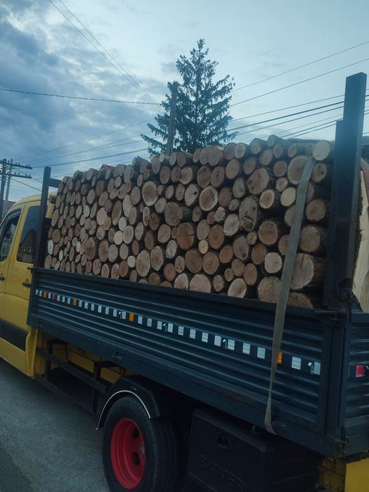 vand lemne stejar uscat