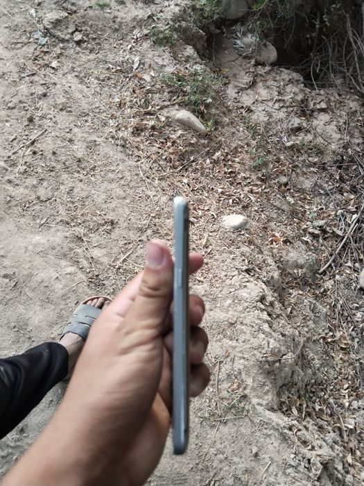 1oy kafolat beramz