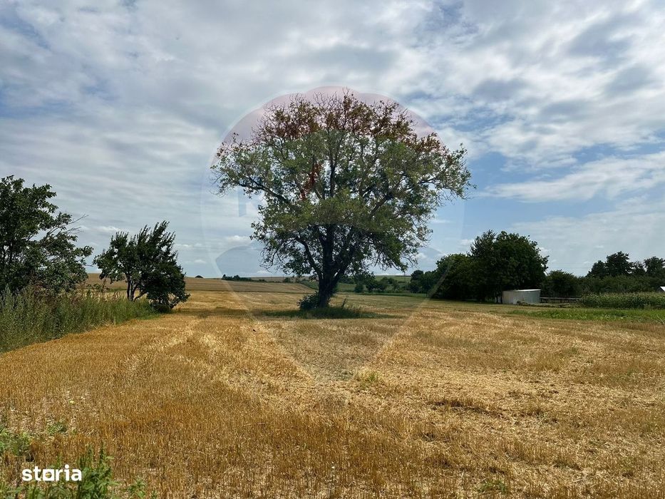 Teren intravilan 4.779 mp + casă și anexe – Girov, Neamț