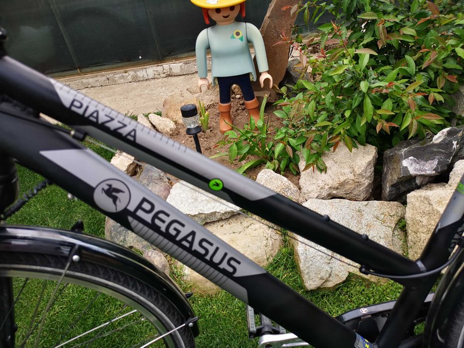 Bicicleta pegasus 28
