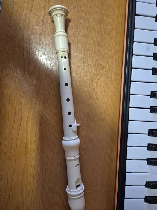 Vand orga Casio + flaut fiecare vine cu husa