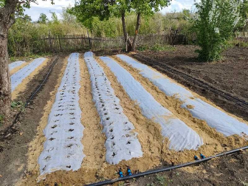 Продается Дача 14 соток готовый бизнес