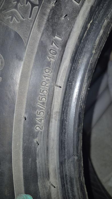 Покрышка зимний   Michelin