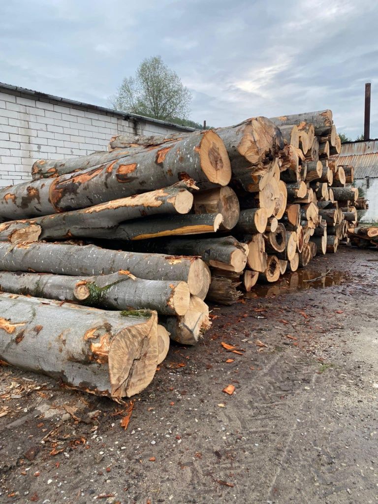 Sc Vinde  Lemn de foc esență tare cantitate mare