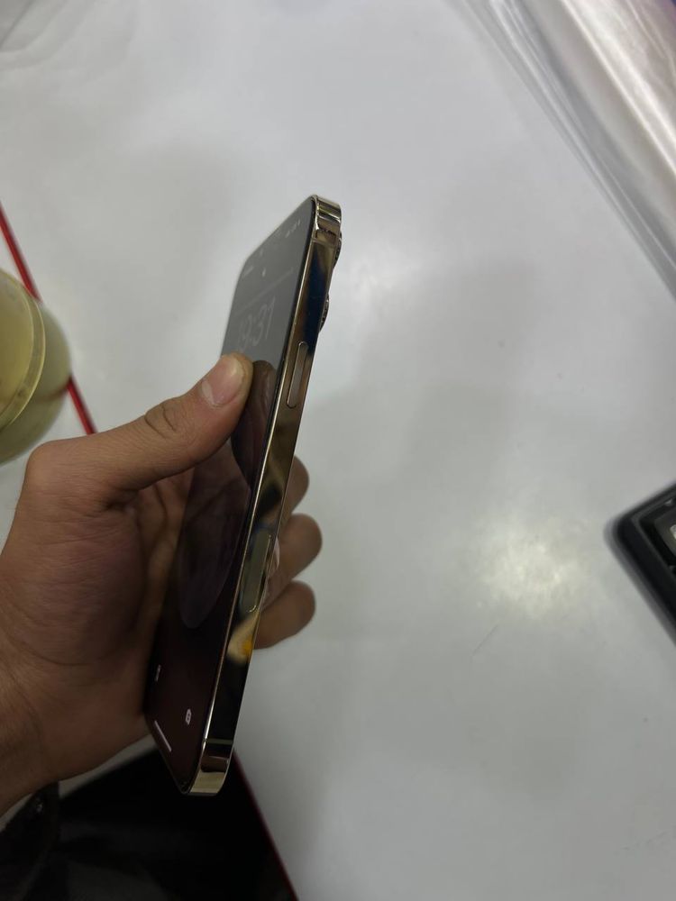 iphone 13 pro max golld
