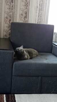 Продам два кресла кровати одно идеально второе любимое кота