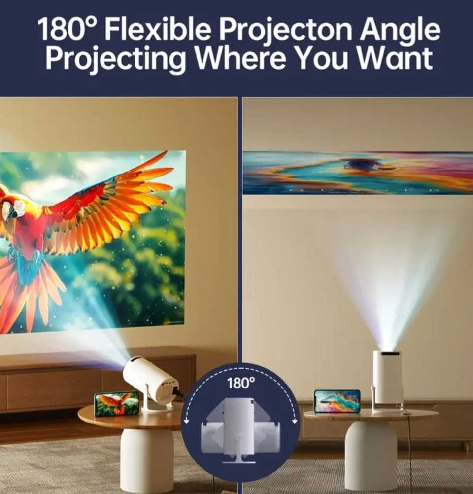 Мултимедия проектор, Projector