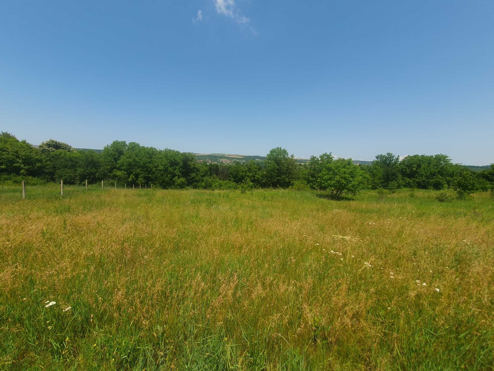Парцел в регулация село Шемшево