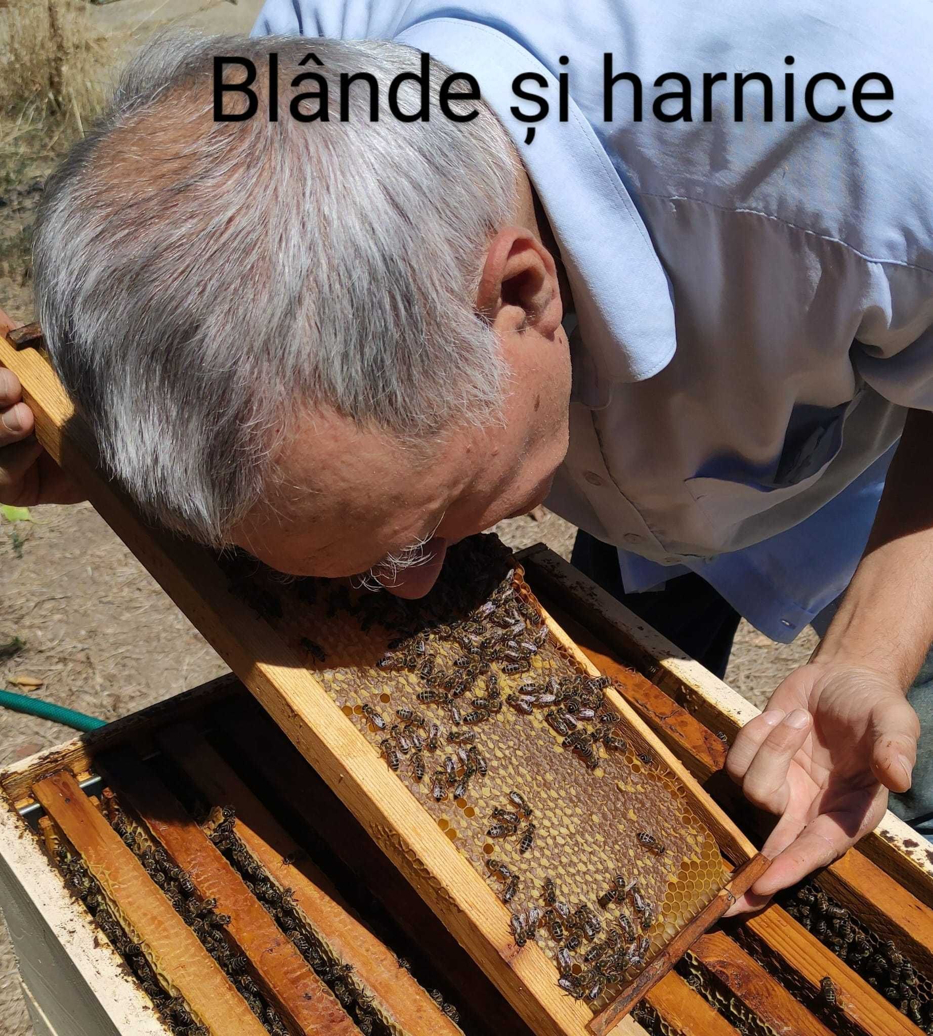 Vand miere cruda