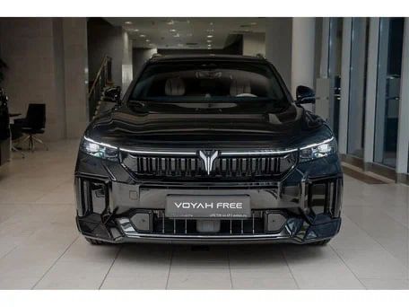 Voyah Free Hybrid 318km 4WD