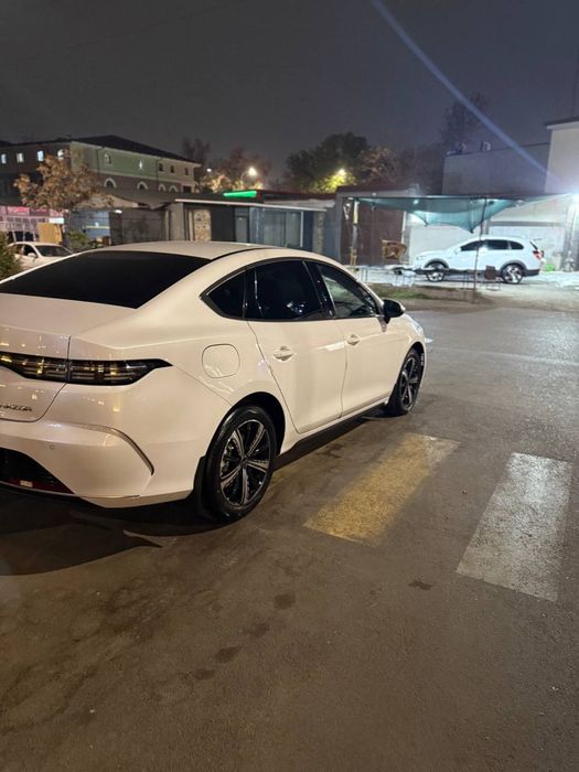 Chazor 120 km 4 pazitsa