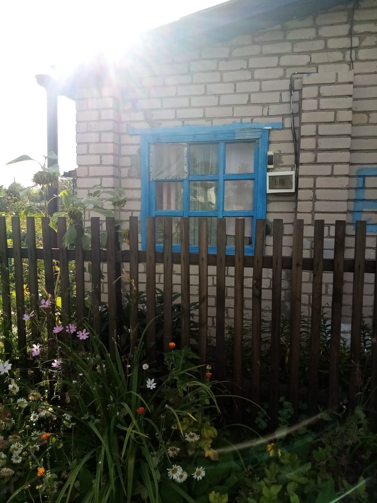 Дача в общещстве Ромашка