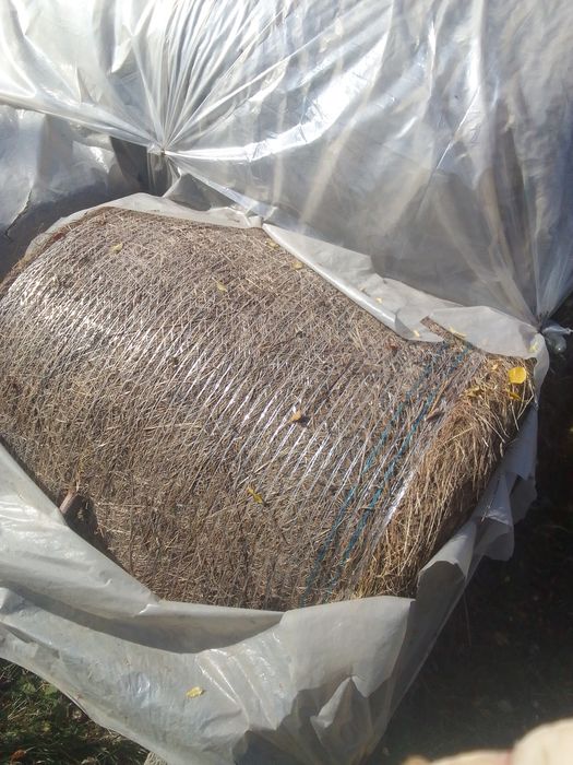 Vând baloți rotunzi de fân,120/120, preț 120
 lei bucata, tel [hidden