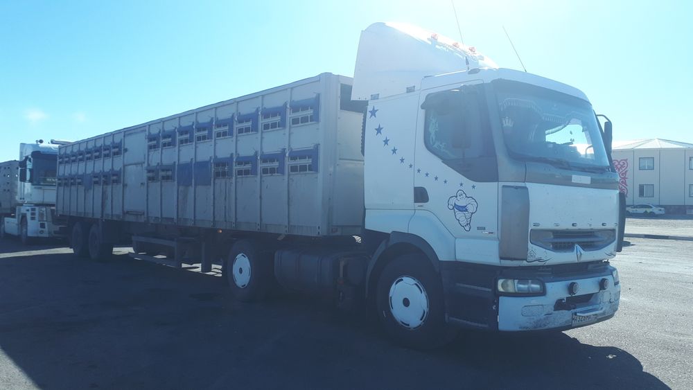 Скотовоз. Перевозка животных.