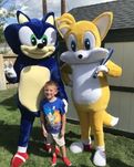 Mascote delux adult Sonic ariciul desene animate