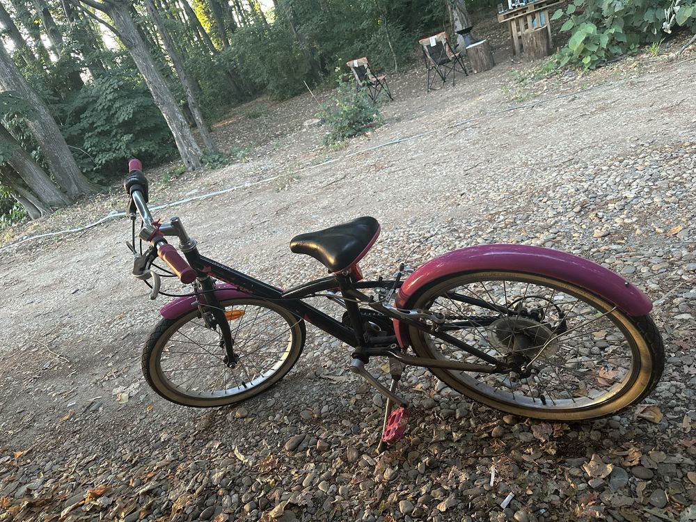 Bicicleta copii BWTIN