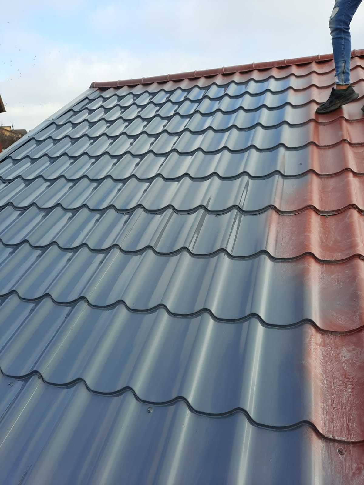 Vopsim orice tip de tabla pe casa, garduri, porti si alte suprafete