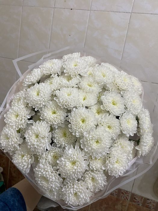 Больший свежий пышный букет за хорошую цену