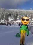 Set costum ski două piese