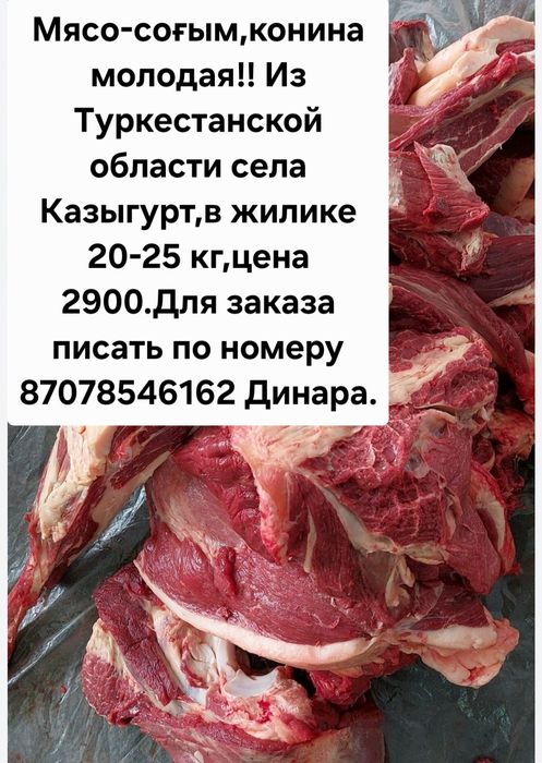 Мясо конины жиликтеп