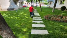 Pavaj,Dale beton armat, Placi beton ,Coame de gard