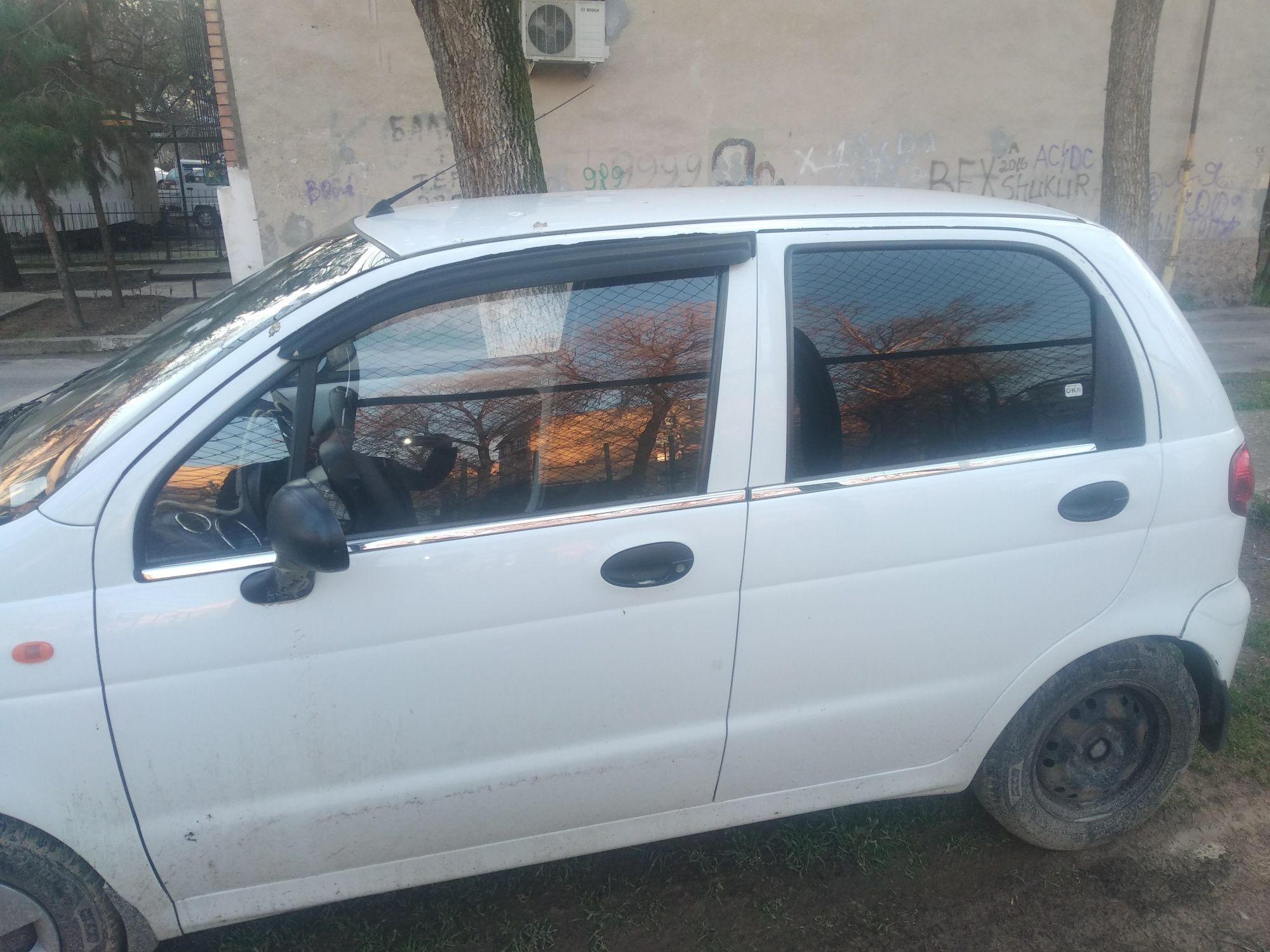Matiz prastoy holati zo‘r